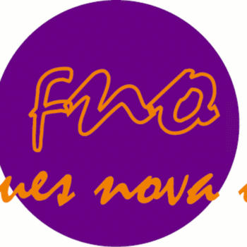 Logo Finques